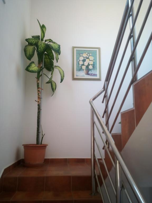 Apartmani Kapitanovic Biograd Na Moru Exterior photo