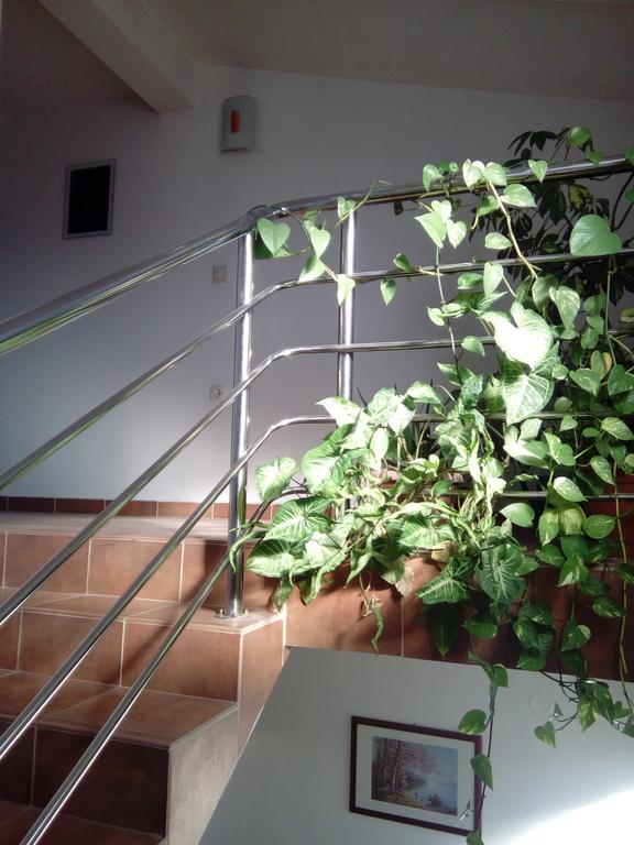 Apartmani Kapitanovic Biograd Na Moru Exterior photo